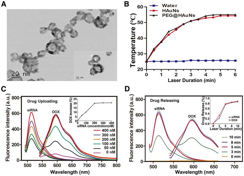 Theranostics Image