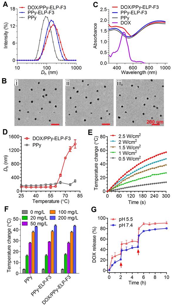 Theranostics Image