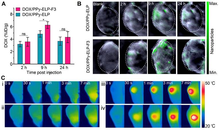 Theranostics Image