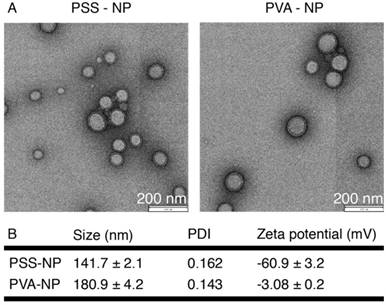 Theranostics Image