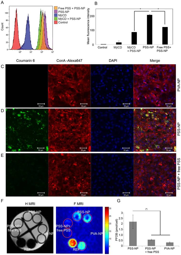 Theranostics Image