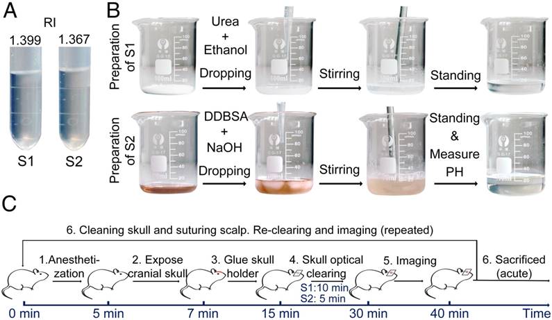 Theranostics Image