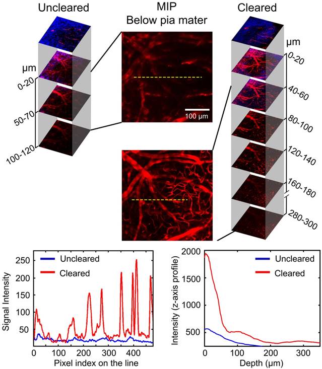 Theranostics Image