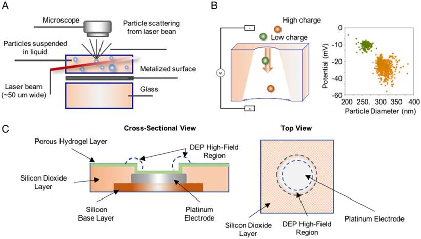 Theranostics Image