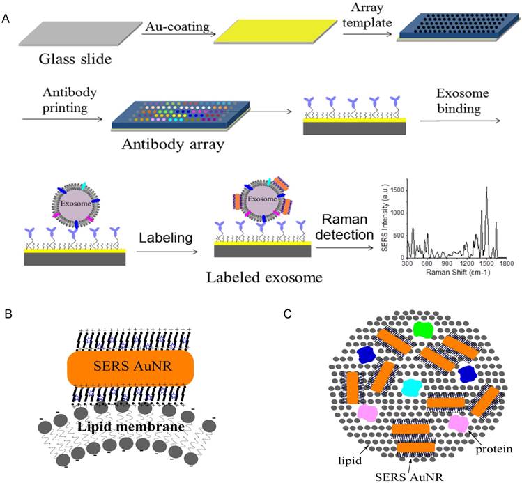 Theranostics Image