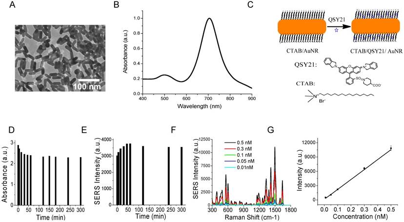 Theranostics Image