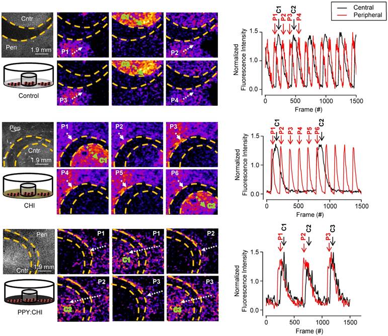 Theranostics Image