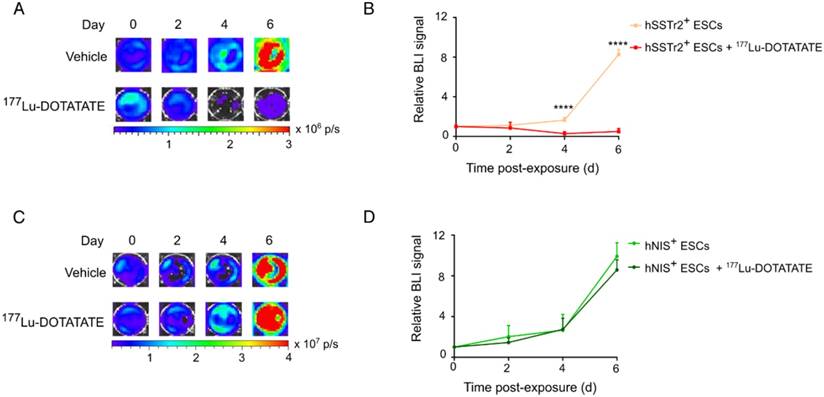 Theranostics Image