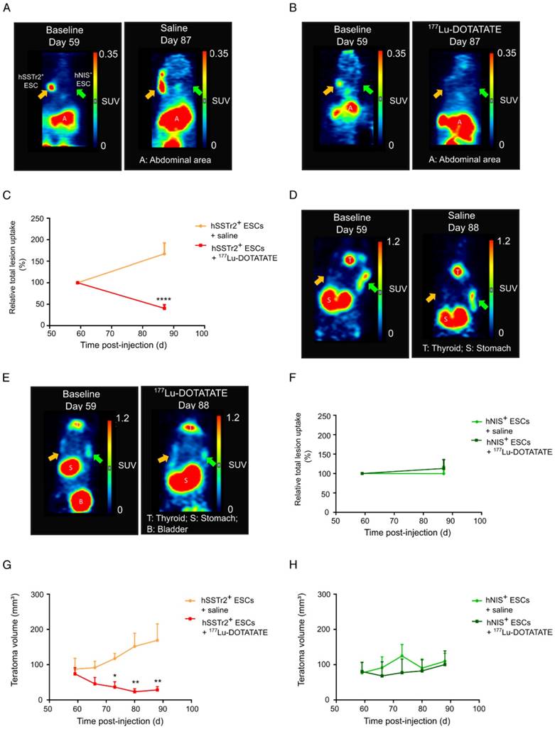 Theranostics Image