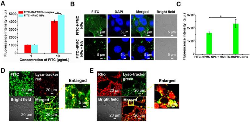 Theranostics Image