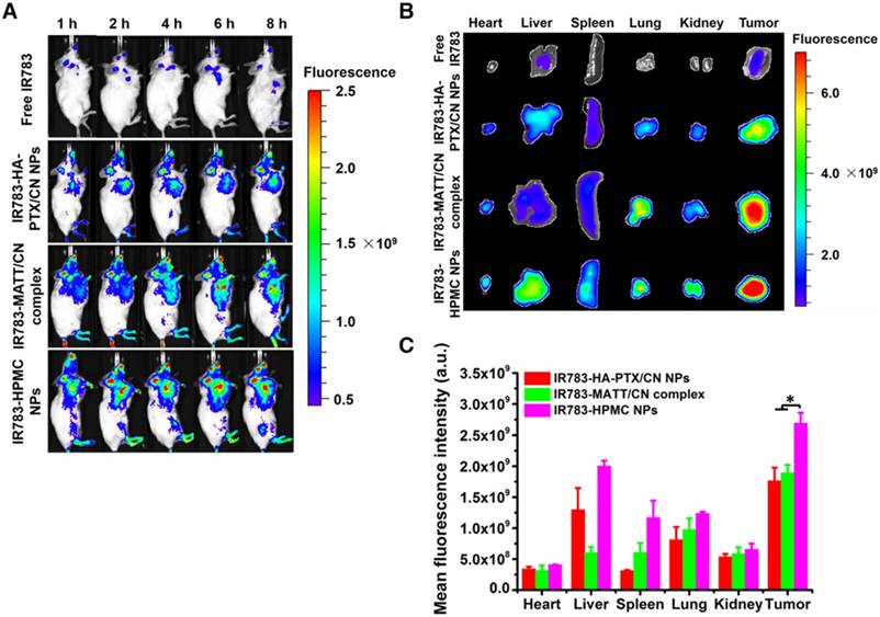 Theranostics Image