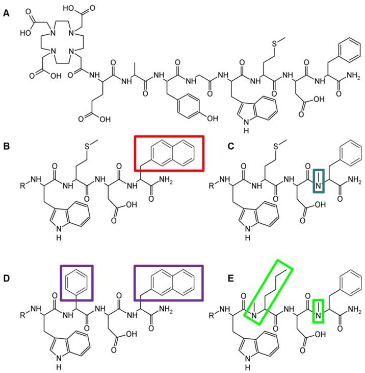 Theranostics Image