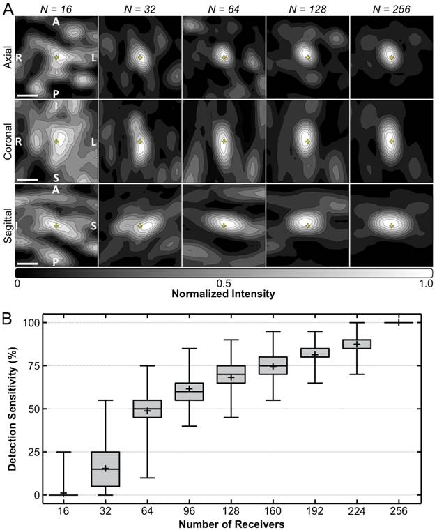 Theranostics Image