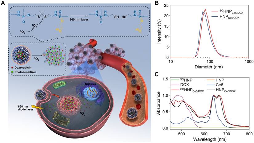 Theranostics Image