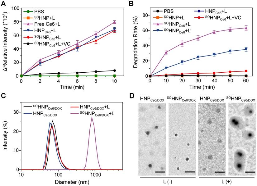 Theranostics Image