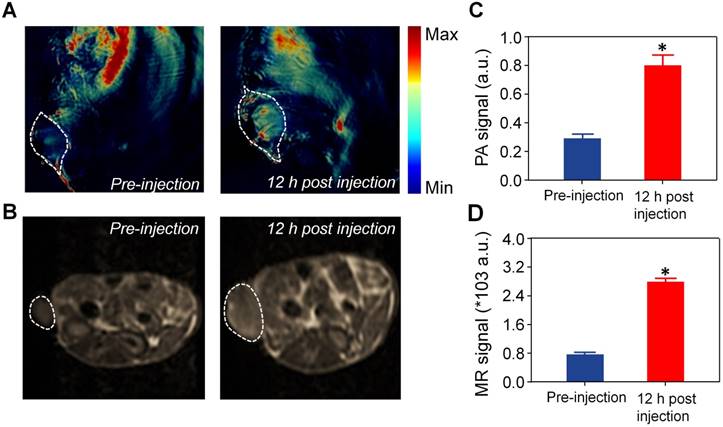 Theranostics Image