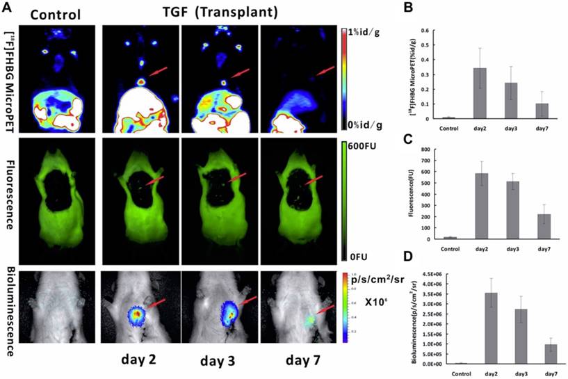 Theranostics Image