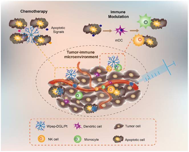 Theranostics Image