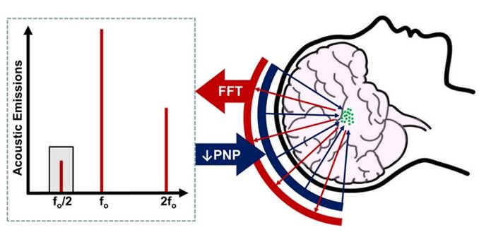 Theranostics Image