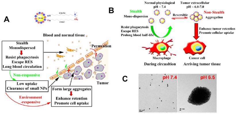 Theranostics Image