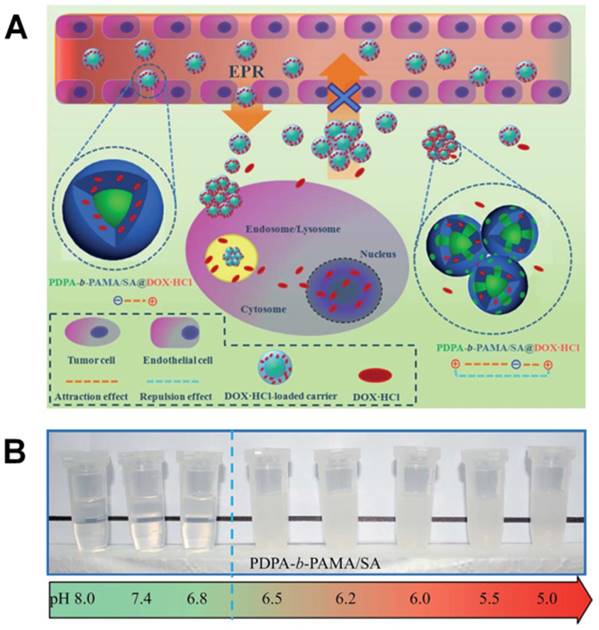 Theranostics Image