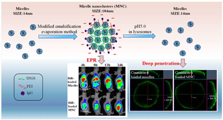 Theranostics Image