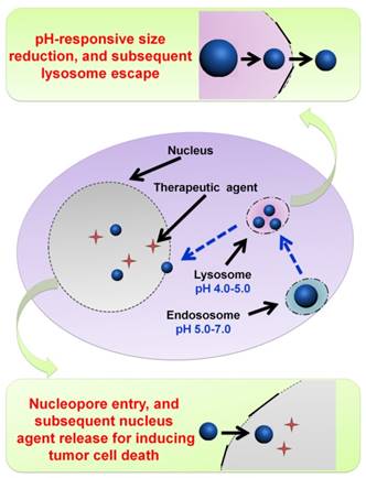 Theranostics Image