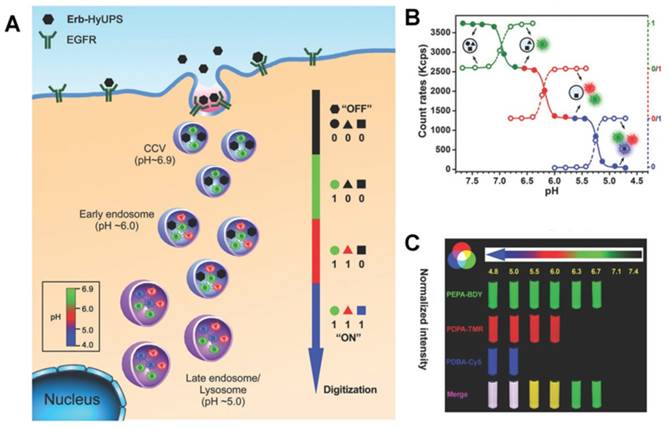 Theranostics Image