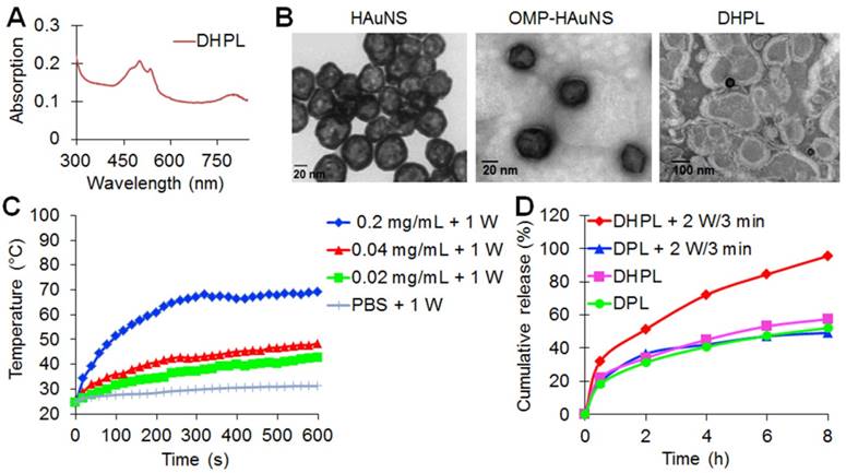 Theranostics Image