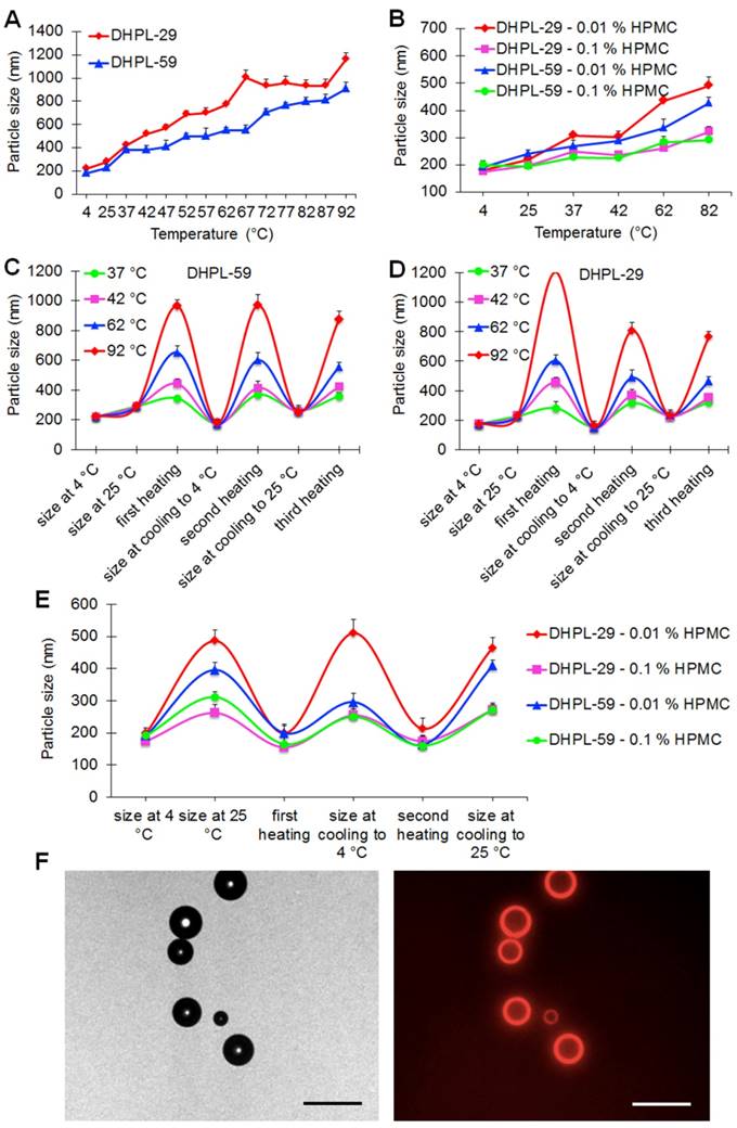 Theranostics Image