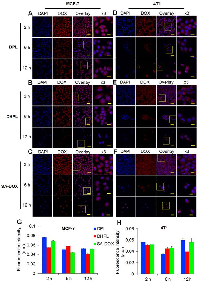 Theranostics Image