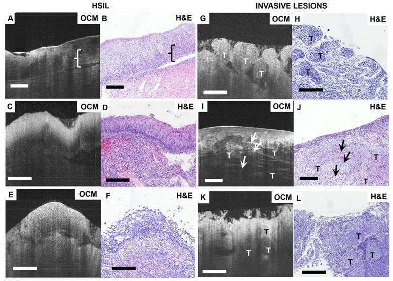 Theranostics Image