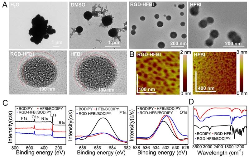 Theranostics Image