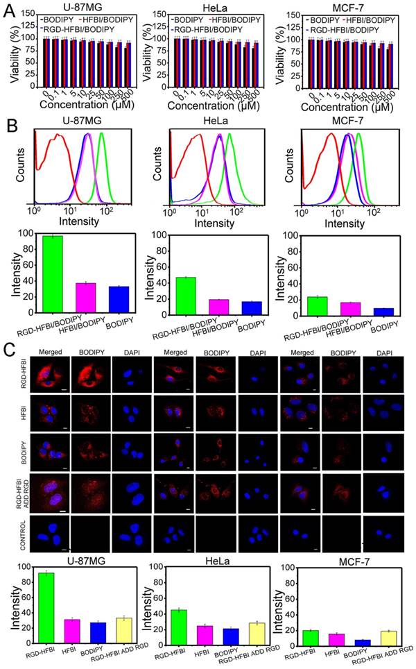 Theranostics Image