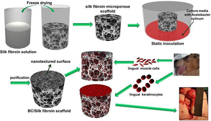 Theranostics Image