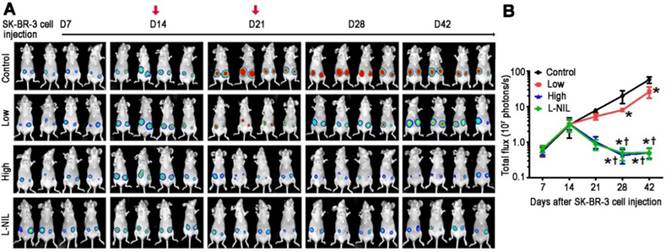 Theranostics Image