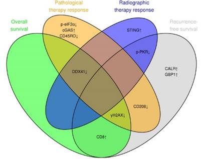 Theranostics Image