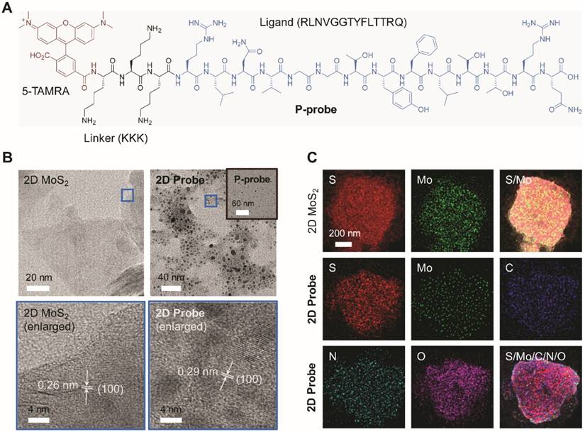 Theranostics Image