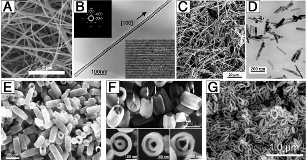 Theranostics Image