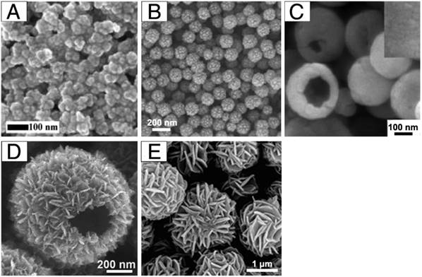 Theranostics Image