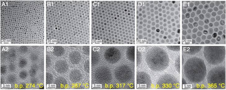 Theranostics Image