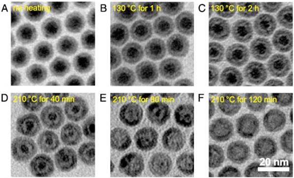 Theranostics Image