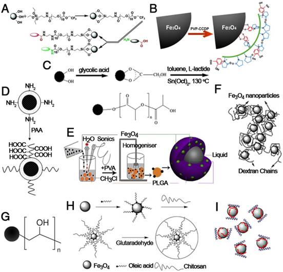 Theranostics Image