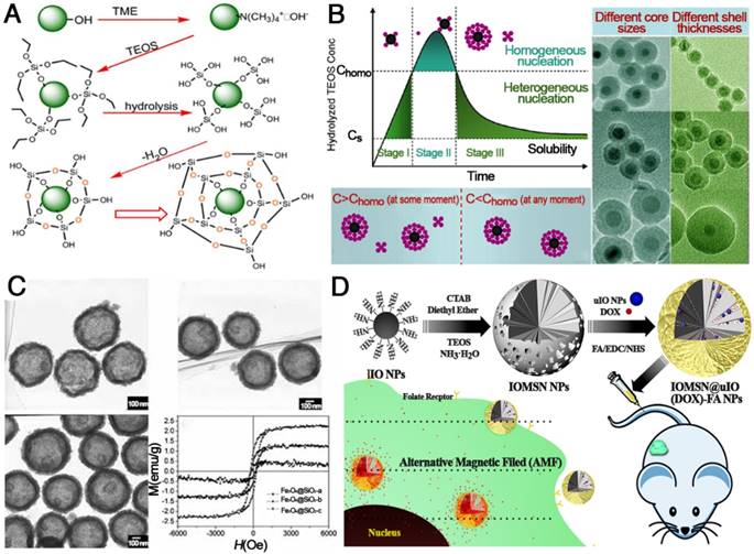 Theranostics Image