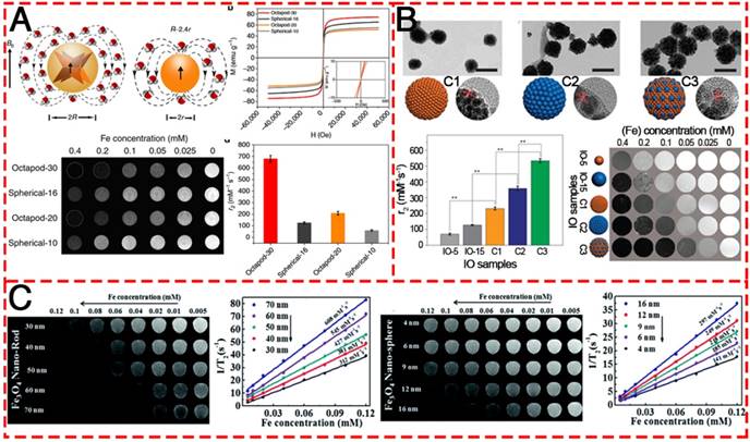 Theranostics Image