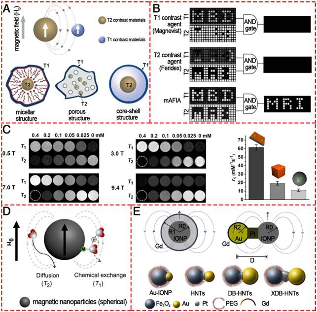 Theranostics Image