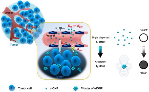 Theranostics Image