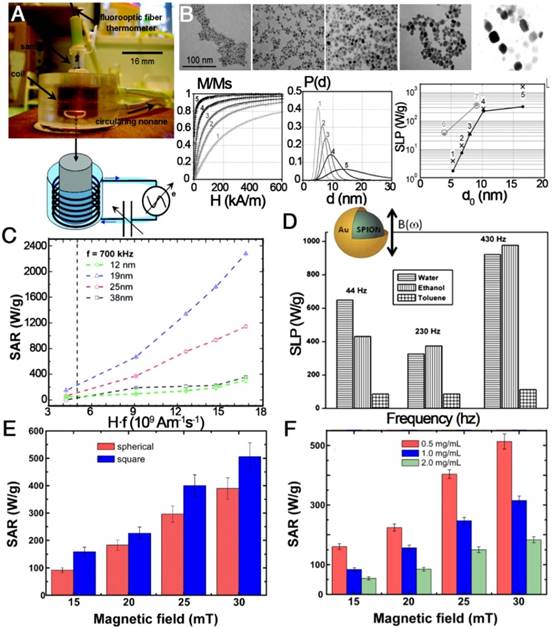 Theranostics Image