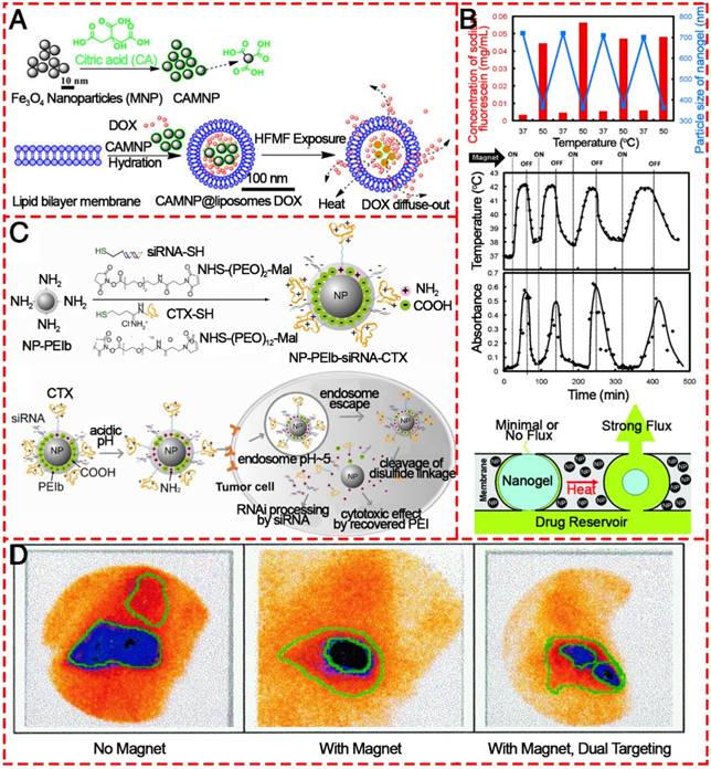 Theranostics Image