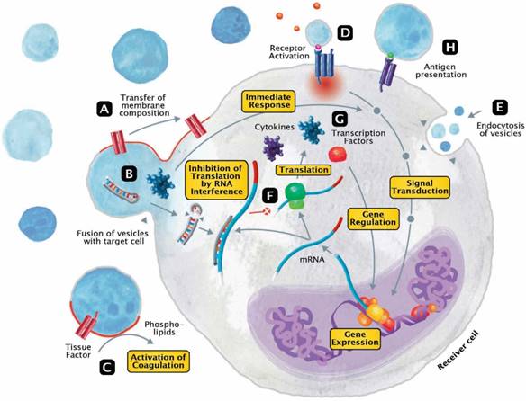 Theranostics Image